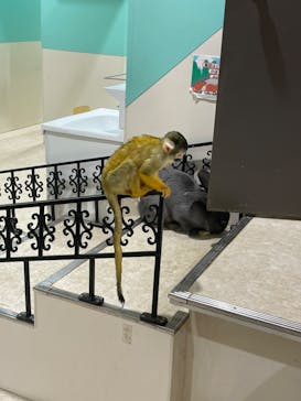 アニタッチアクアシティお台場に投稿された画像（2024/1/8）