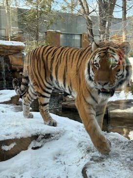 那須どうぶつ王国に投稿された画像（2024/1/8）