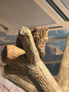 那須どうぶつ王国に投稿された画像（2024/1/8）