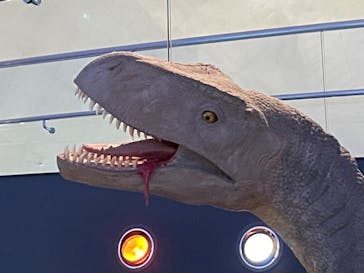 福井県立恐竜博物館に投稿された画像（2024/1/8）