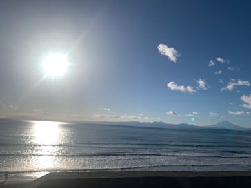新江ノ島水族館に投稿された画像（2024/1/8）
