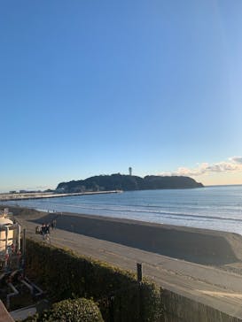 新江ノ島水族館に投稿された画像（2024/1/8）