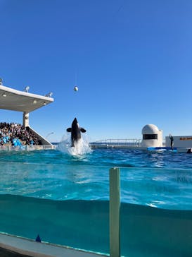 鴨川シーワールドに投稿された画像（2024/1/8）