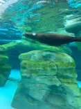 天王寺動物園に投稿された画像（2024/1/8）