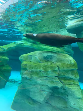 天王寺動物園に投稿された画像（2024/1/8）
