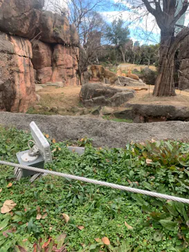 天王寺動物園に投稿された画像（2024/1/8）