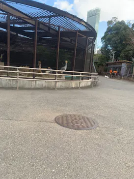 天王寺動物園に投稿された画像（2024/1/8）