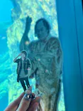 仙台うみの杜水族館に投稿された画像（2024/1/8）