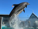 しながわ水族館に投稿された画像（2024/1/8）