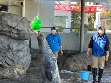 しながわ水族館に投稿された画像（2024/1/8）
