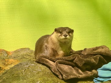 しながわ水族館に投稿された画像（2024/1/8）