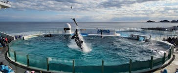 鴨川シーワールドに投稿された画像（2024/1/8）