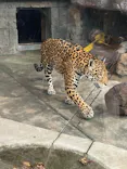 天王寺動物園に投稿された画像（2024/1/8）