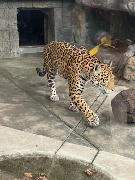 天王寺動物園に投稿された画像（2024/1/8）