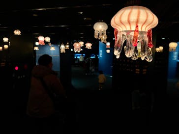 京都水族館に投稿された画像（2024/1/8）