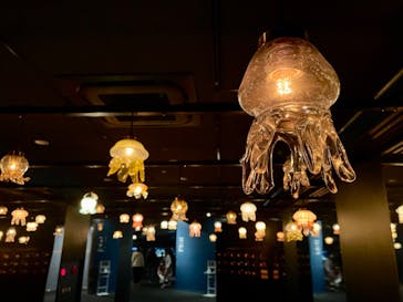 京都水族館に投稿された画像（2024/1/8）