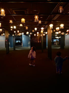 京都水族館に投稿された画像（2024/1/8）