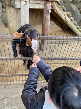 伊豆シャボテン動物公園に投稿された画像（2024/1/8）