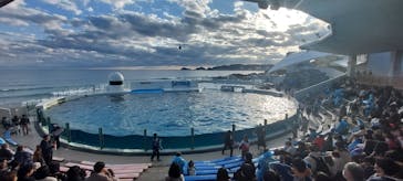 鴨川シーワールドに投稿された画像（2024/1/8）