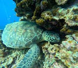 石垣島 ADVENTURE PiPi（イシガキジマアドベンチャーピピ）に投稿された画像（2024/1/8）