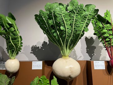 特別展「和食 ～日本の自然、人々の知恵～」に投稿された画像（2024/1/8）