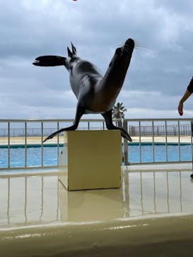 マリンワールド海の中道に投稿された画像（2024/1/8）