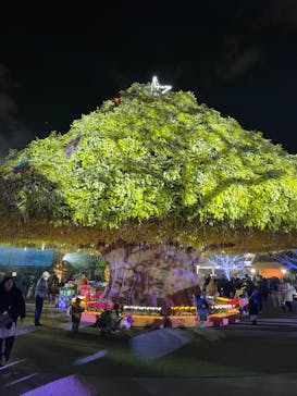 東京メガイルミに投稿された画像（2024/1/8）