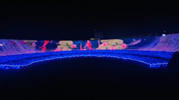 東京メガイルミに投稿された画像（2024/1/8）