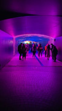 東京メガイルミに投稿された画像（2024/1/8）