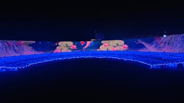 東京メガイルミに投稿された画像（2024/1/8）