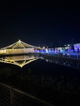 東京メガイルミに投稿された画像（2024/1/8）