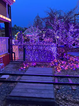 ひらかたパークに投稿された画像（2024/1/8）