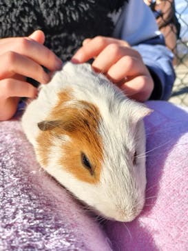 群馬サファリパークに投稿された画像（2024/1/8）