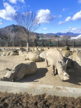 群馬サファリパークに投稿された画像（2024/1/8）