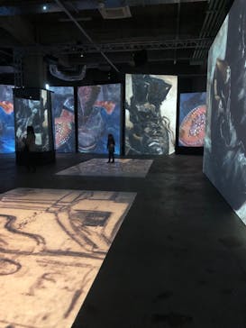 ゴッホ・アライブに投稿された画像（2024/1/8）