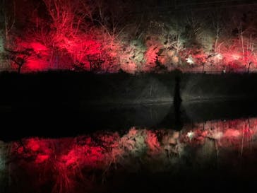 ムーミンバレーパークに投稿された画像（2024/1/8）