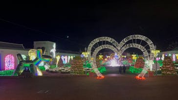 神戸イルミナージュに投稿された画像（2024/1/8）