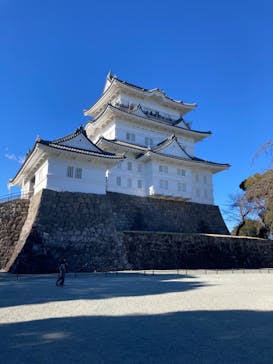 小田原城に投稿された画像（2024/1/8）