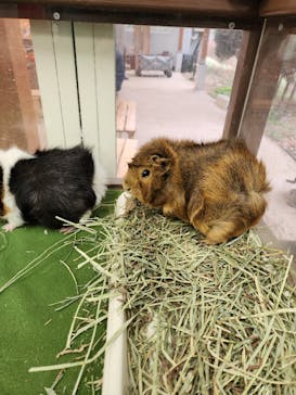 成田ゆめ牧場に投稿された画像（2024/1/8）