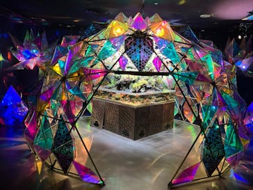 NARA IKIMONO MUSEUMに投稿された画像（2024/1/8）