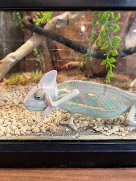 NARA IKIMONO MUSEUMに投稿された画像（2024/1/8）