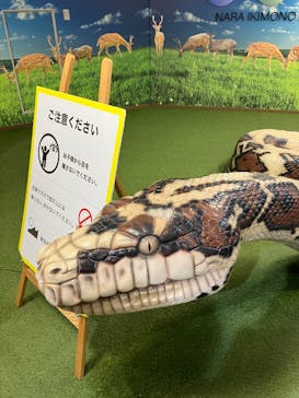 NARA IKIMONO MUSEUMに投稿された画像（2024/1/8）