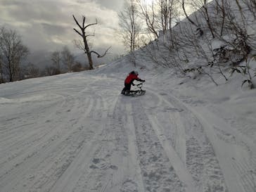 星野リゾート　トマムに投稿された画像（2024/1/8）