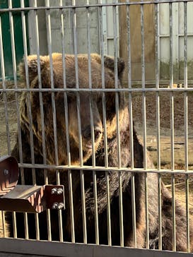 東武動物公園に投稿された画像（2024/1/8）