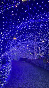 ひらかたパークに投稿された画像（2024/1/8）