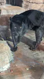 天王寺動物園に投稿された画像（2024/1/8）