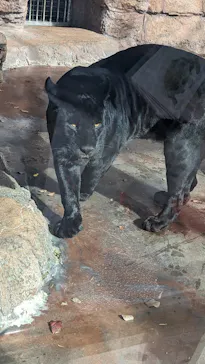 天王寺動物園に投稿された画像（2024/1/8）