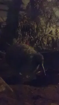 天王寺動物園に投稿された画像（2024/1/8）