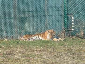 岩手サファリパークに投稿された画像（2024/1/8）