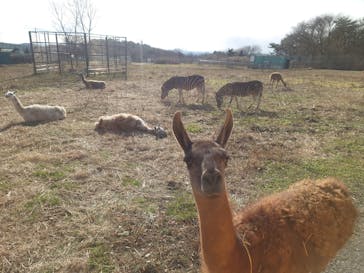 岩手サファリパークに投稿された画像（2024/1/8）